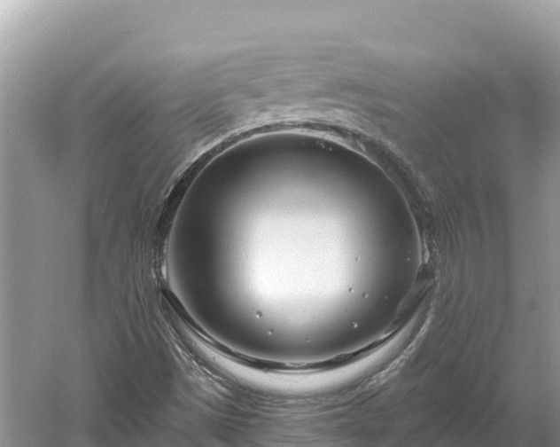 X0000061731497200512050919