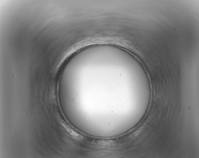 X0000061731498200512050919