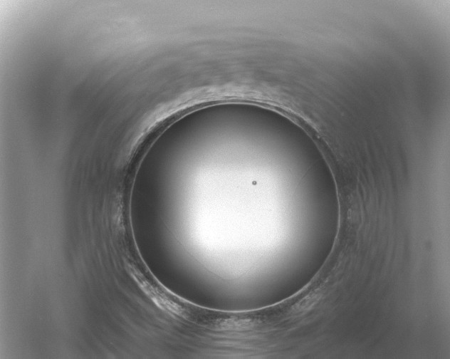 X0000061731499200512050919