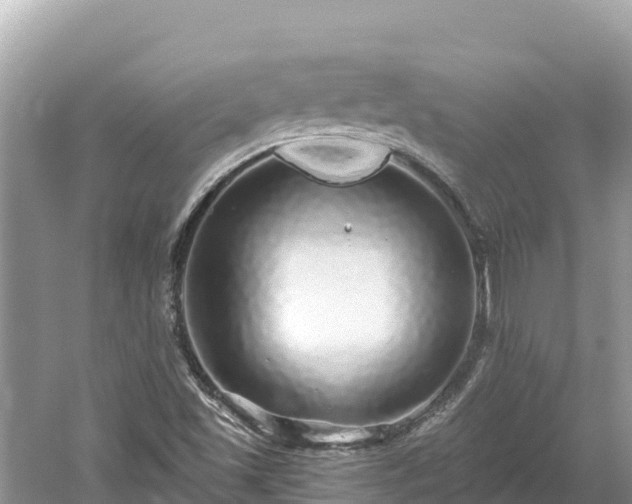 X0000061731501200512050919