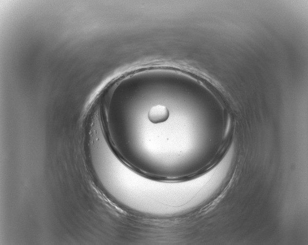 X0000061731502200512050919