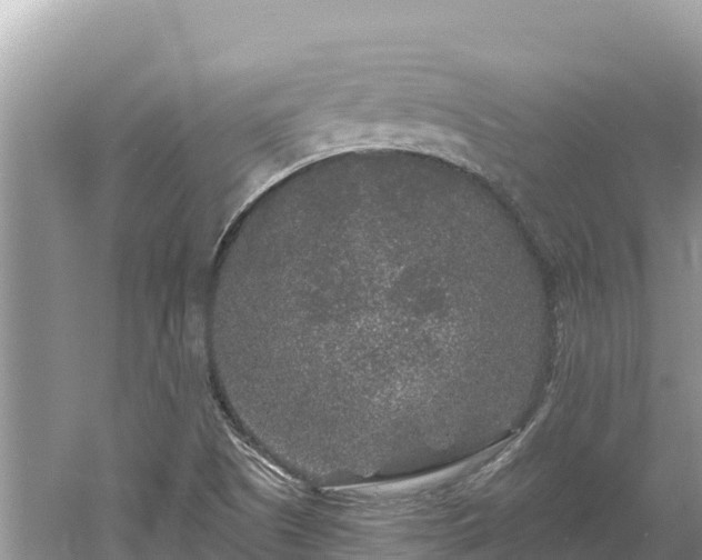 X0000061731505200512050919