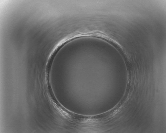 X0000061731506200512050919