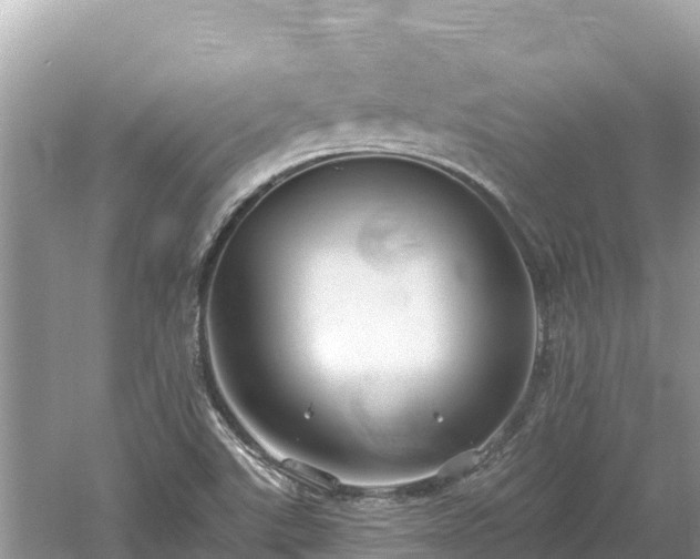 X0000061731507200512050919