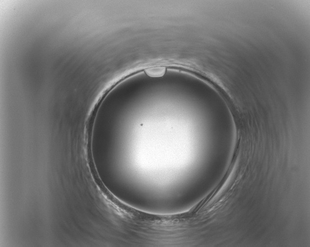 X0000061731508200512050919