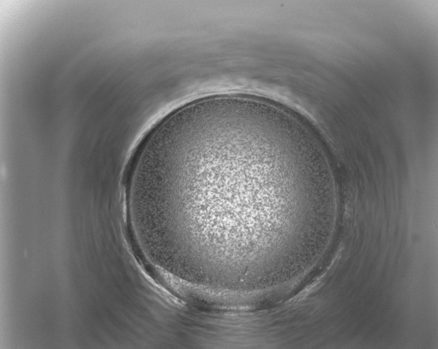 X0000061731509200512050919