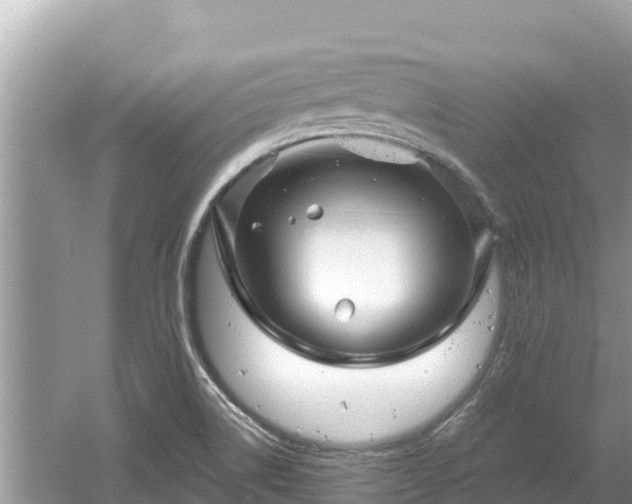 X0000061731514200512050919