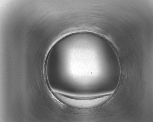 X0000061731516200512050919