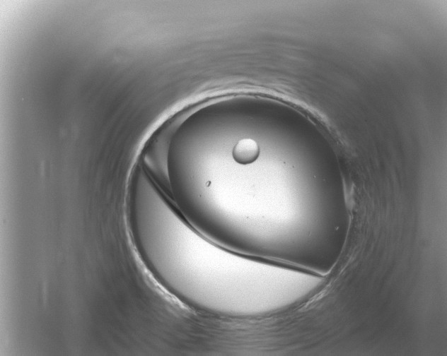 X0000061731518200512050920