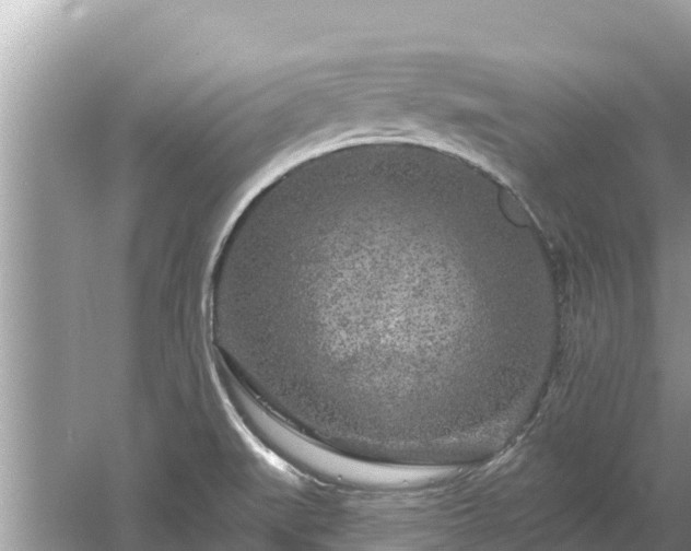 X0000061731519200512050920