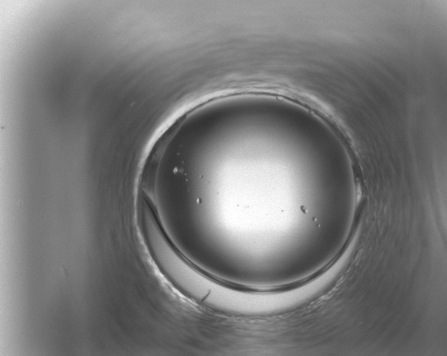 X0000061731520200512050920