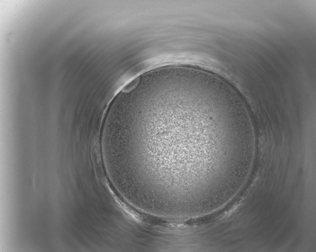 X0000061731521200512050920