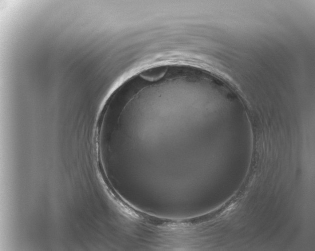 X0000061731522200512050920