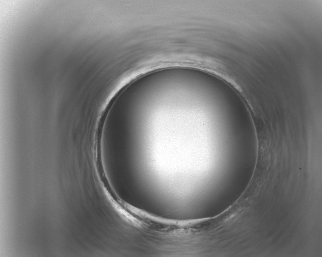 X0000061731523200512050920