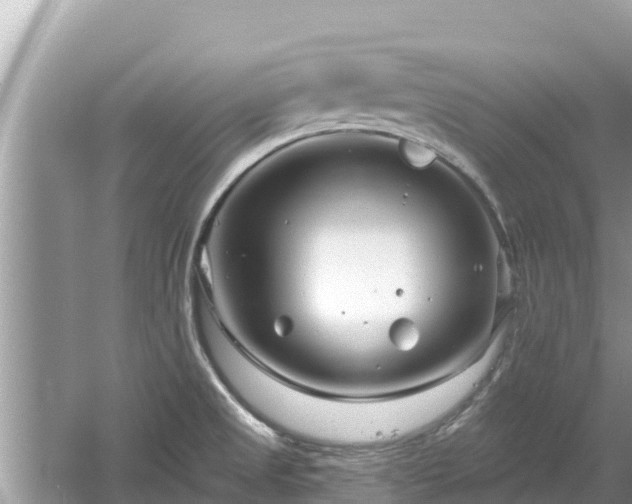 X0000061731525200512050920