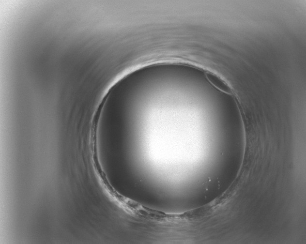 X0000061731526200512050920