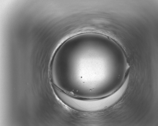 X0000061731527200512050920