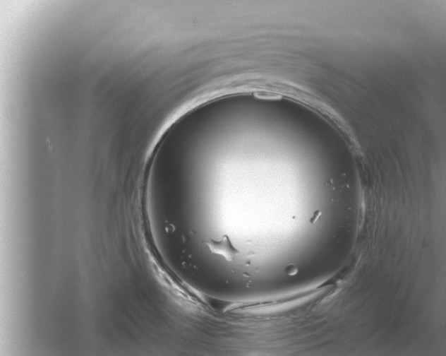 X0000061731530200512050920