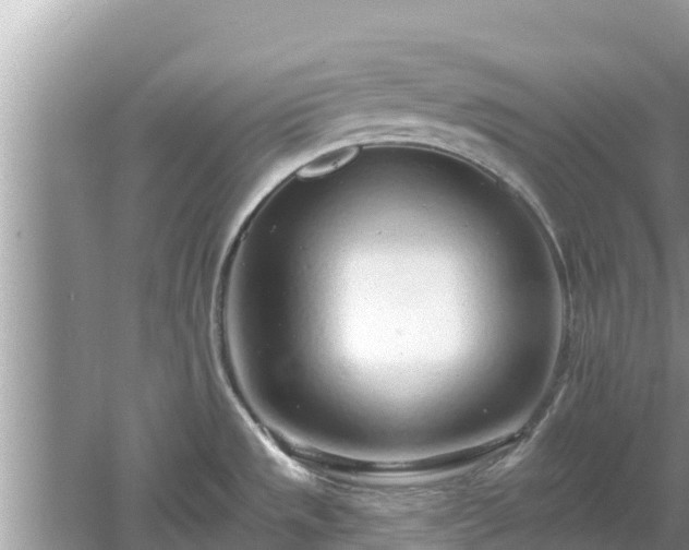 X0000061731533200512050920