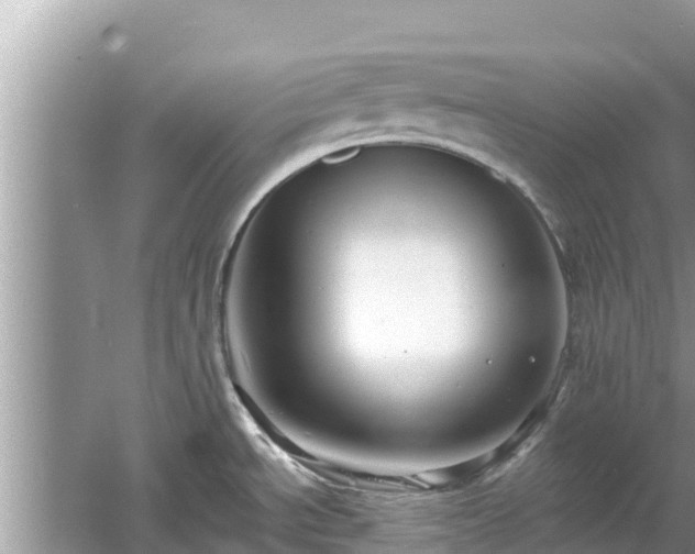 X0000061731534200512050920