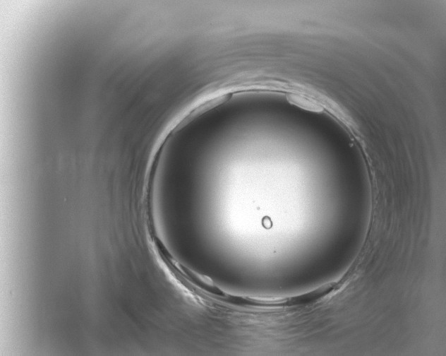 X0000061731536200512050920