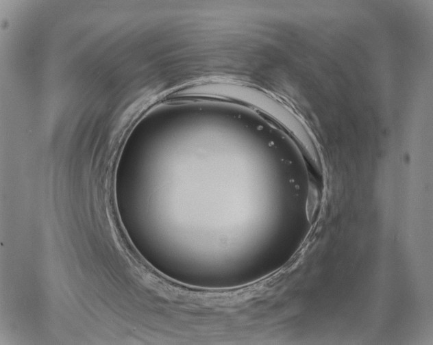 X0000061730001200512091557