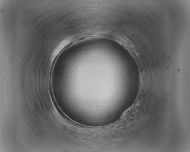 X0000061730003200512091557