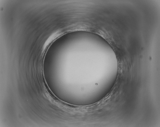 X0000061730004200512091557