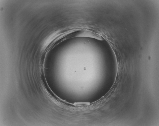 X0000061730005200512091557