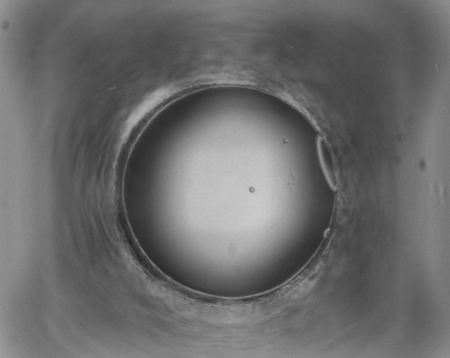 X0000061730008200512091557