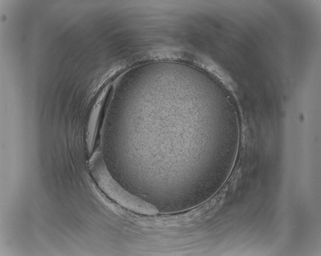 X0000061730009200512091557