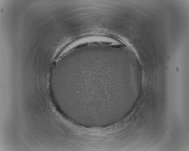 X0000061730010200512091557