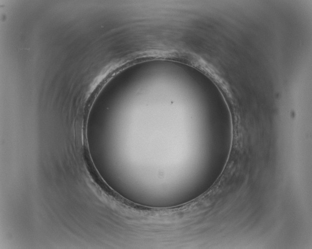 X0000061730011200512091557