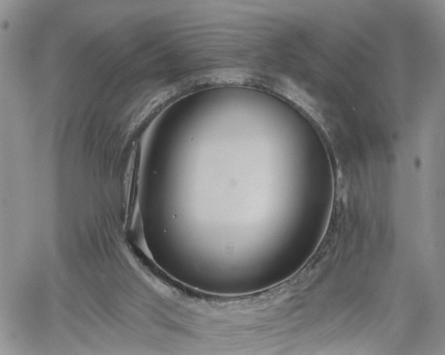 X0000061730013200512091557