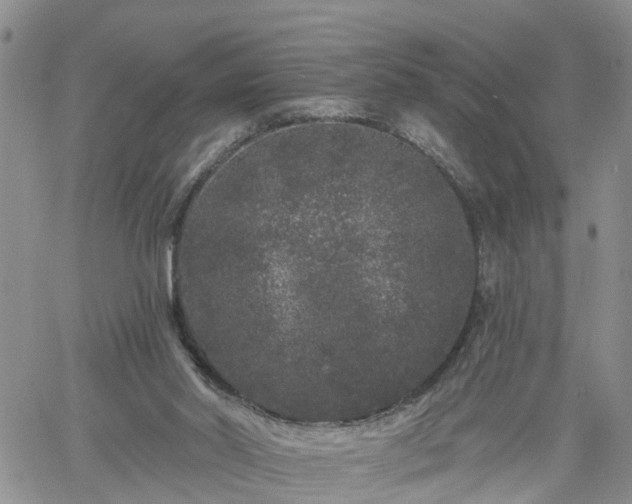 X0000061730014200512091557