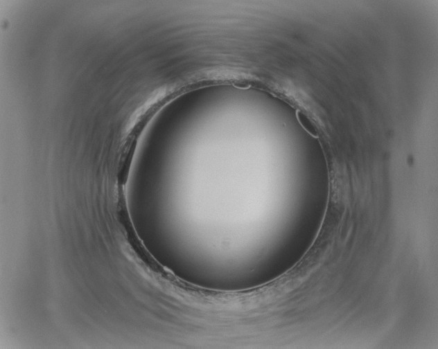 X0000061730015200512091557