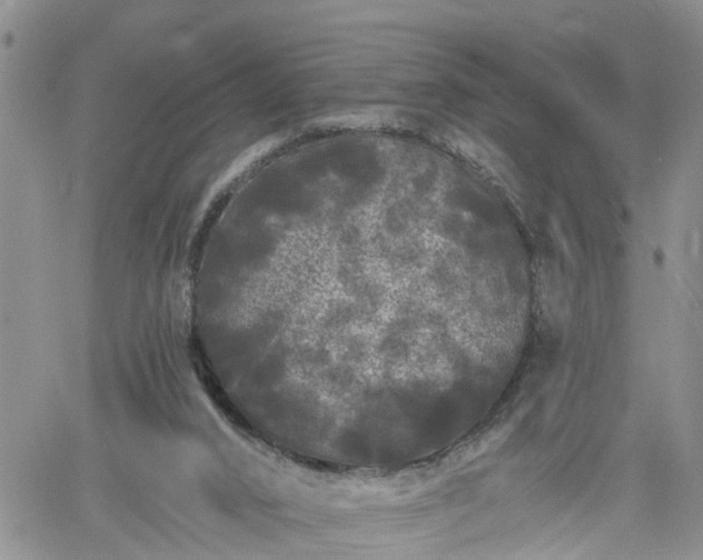 X0000061730016200512091557