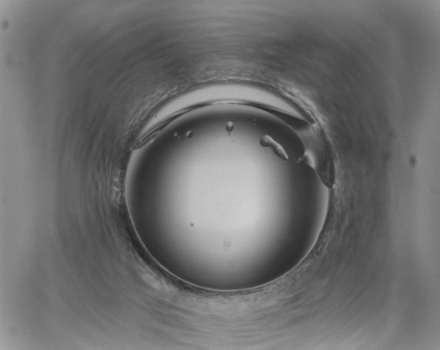 X0000061730017200512091557