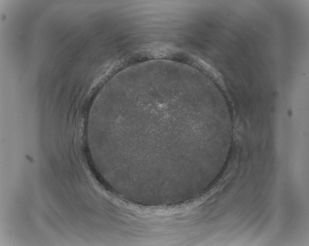 X0000061730018200512091557