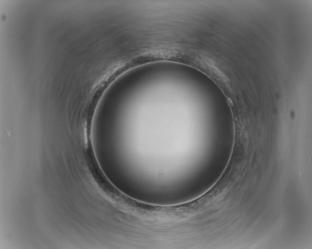 X0000061730020200512091556