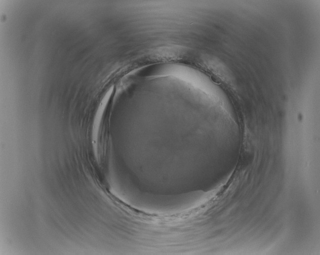 X0000061730021200512091556