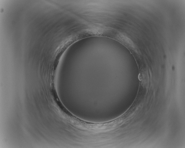 X0000061730023200512091556