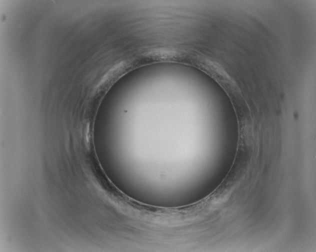 X0000061730024200512091556