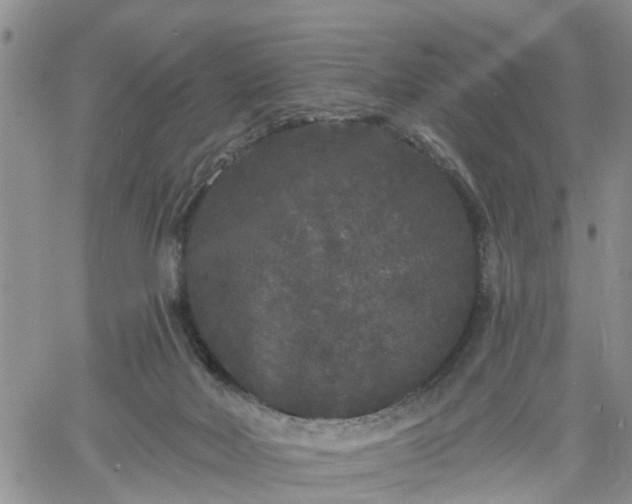 X0000061730026200512091556