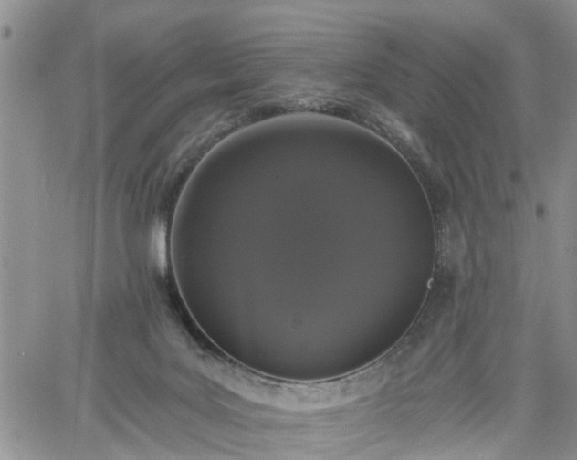 X0000061730027200512091556