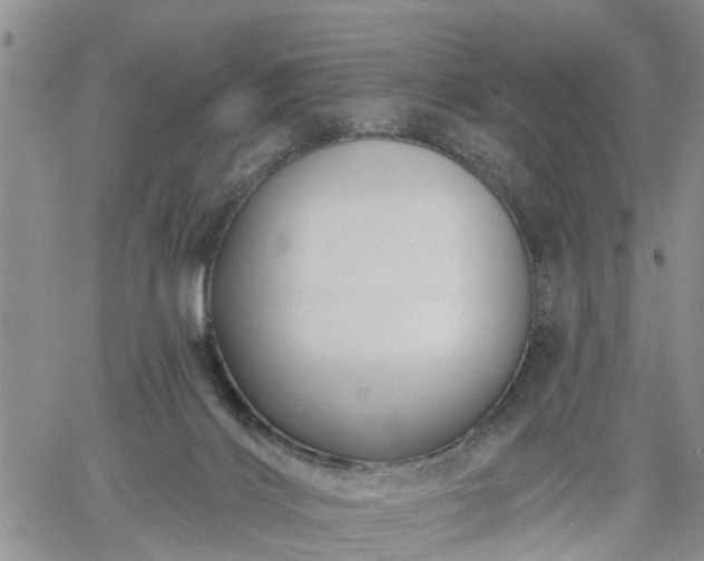 X0000061730028200512091556