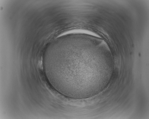 X0000061730029200512091556