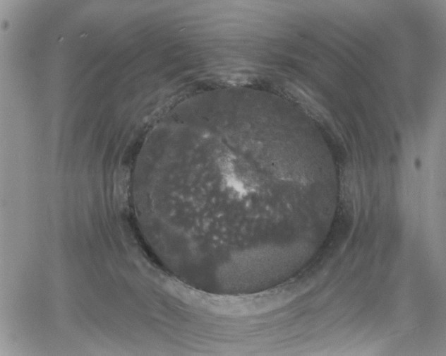 X0000061730030200512091556