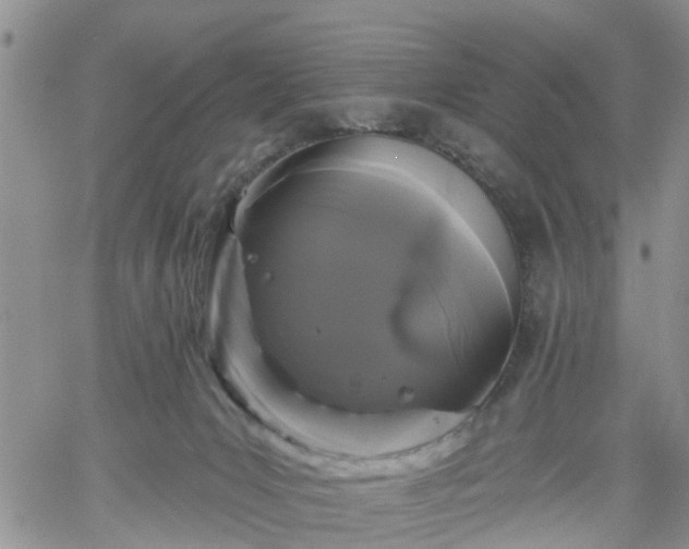 X0000061730031200512091556