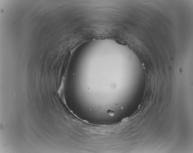 X0000061730033200512091556